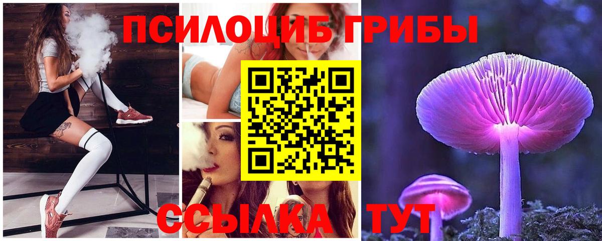Псилоцибиновые грибы прущие грибы  Вход с VPN  Орск  Галлюциногенные грибы Cubensis 